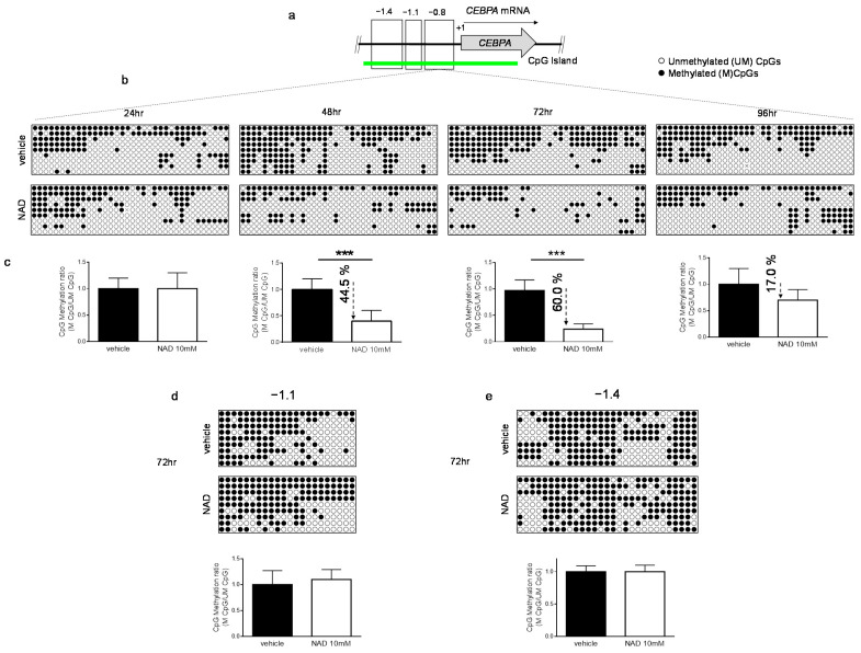 An external file that holds a picture, illustration, etc.
Object name is cells-10-02986-g002.jpg