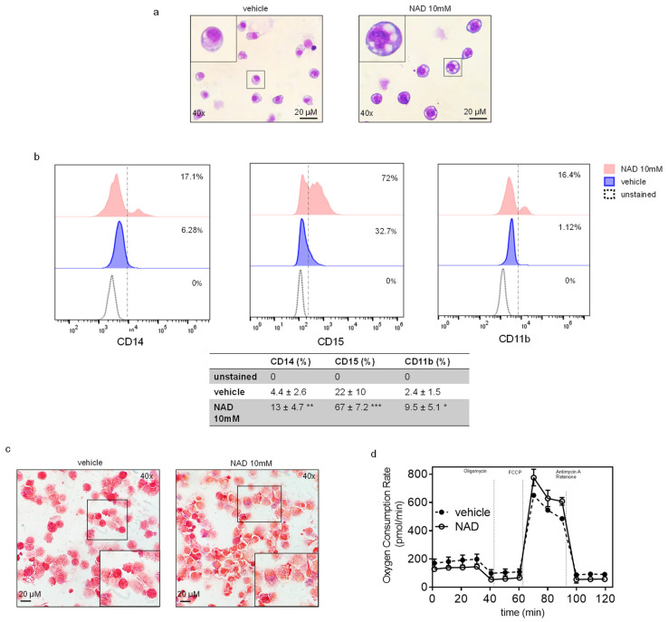 An external file that holds a picture, illustration, etc.
Object name is cells-10-02986-g005.jpg