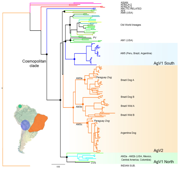 An external file that holds a picture, illustration, etc.
Object name is viruses-13-02484-g001.jpg