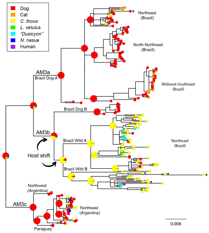 An external file that holds a picture, illustration, etc.
Object name is viruses-13-02484-g002.jpg