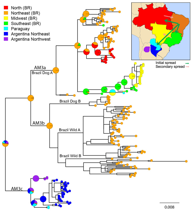 An external file that holds a picture, illustration, etc.
Object name is viruses-13-02484-g003.jpg