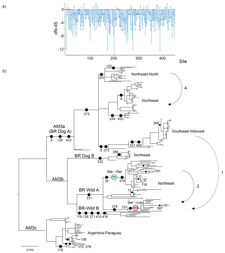 An external file that holds a picture, illustration, etc.
Object name is viruses-13-02484-g004.jpg