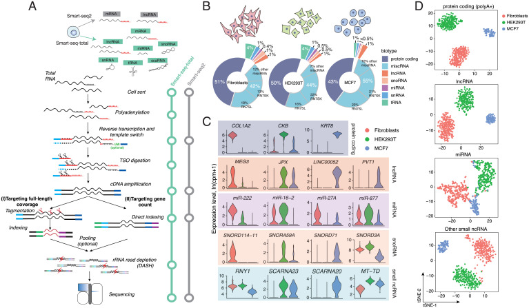 An external file that holds a picture, illustration, etc.
Object name is pnas.2113568118fig01.jpg