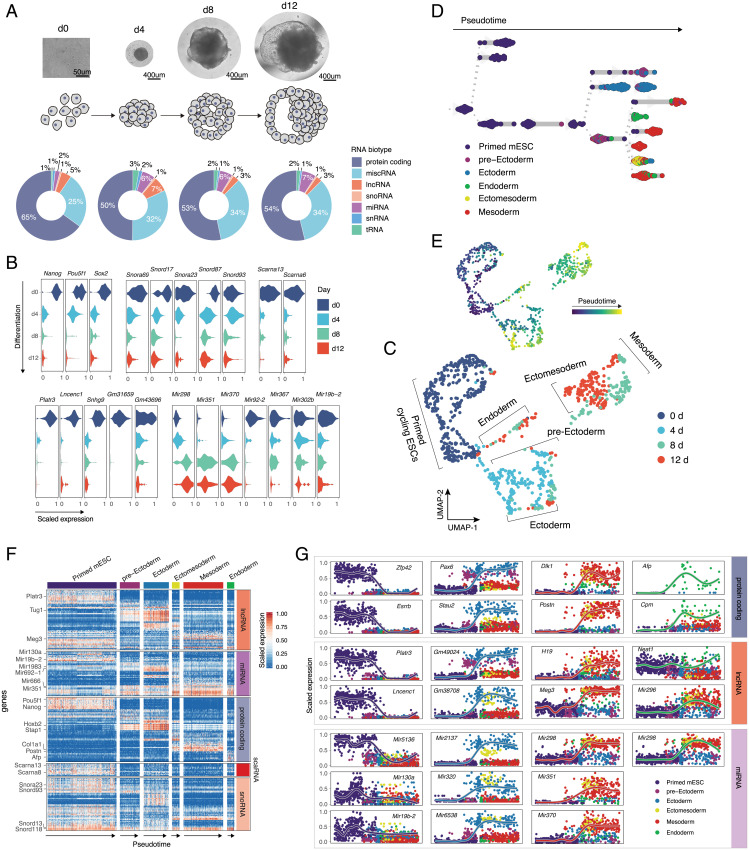 An external file that holds a picture, illustration, etc.
Object name is pnas.2113568118fig03.jpg