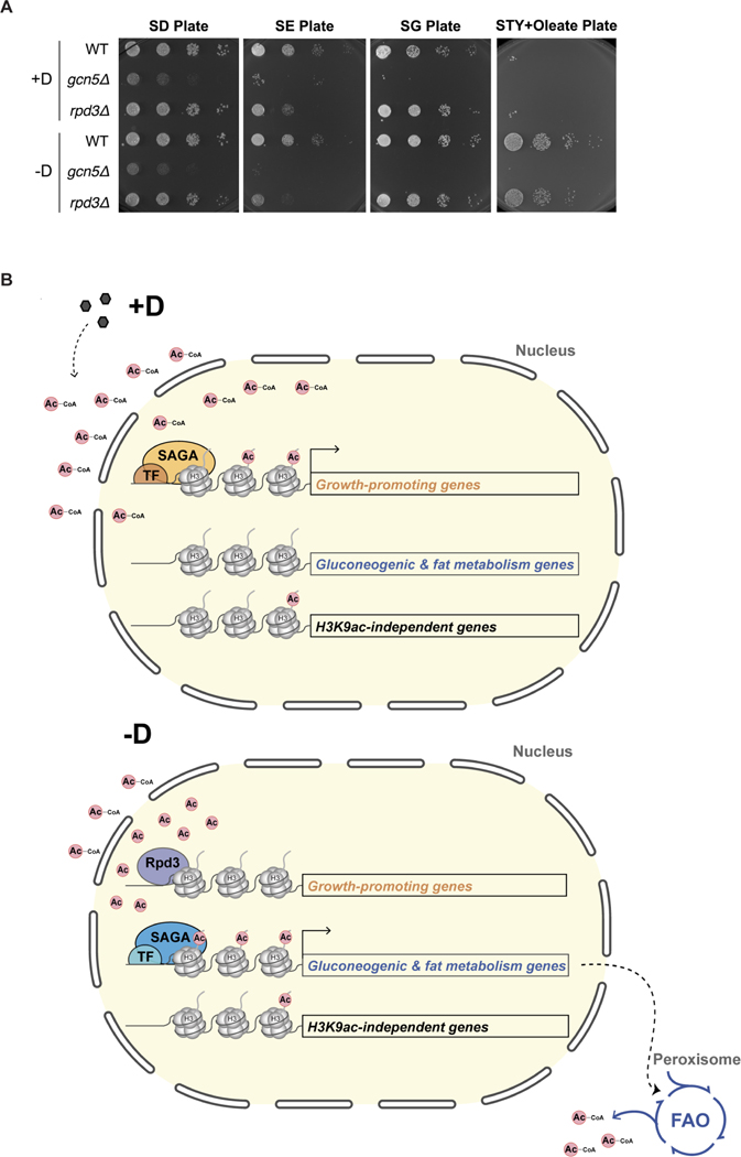 An external file that holds a picture, illustration, etc.
Object name is nihms-1767354-f0007.jpg