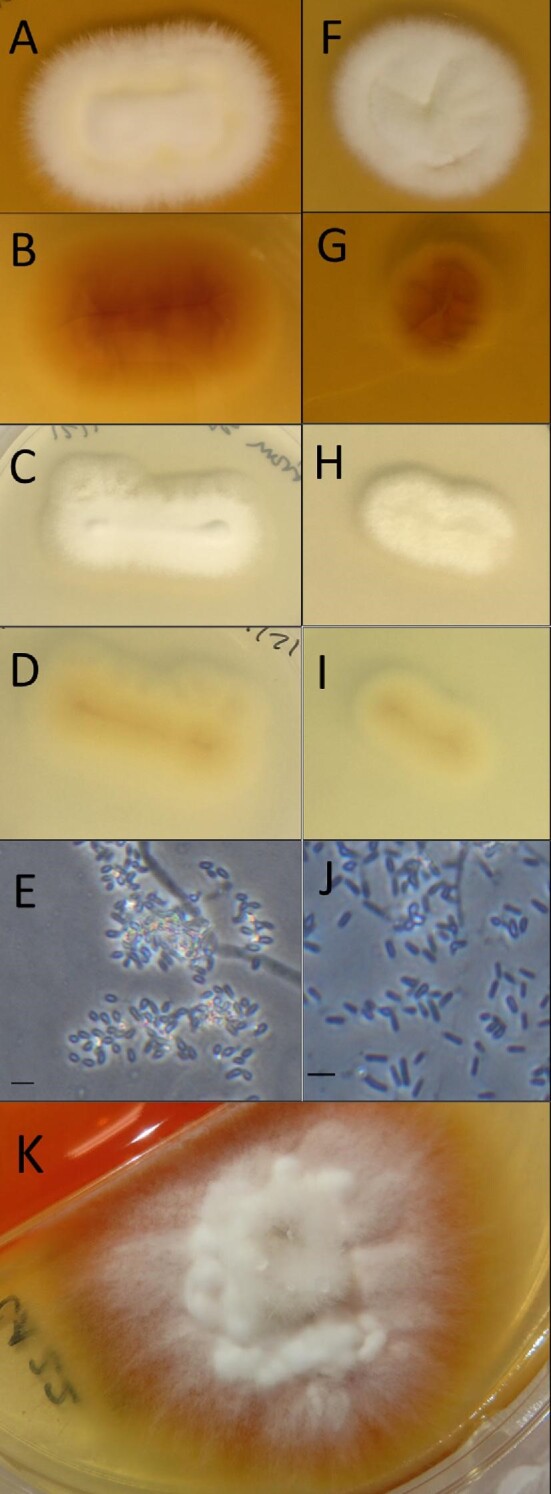 An external file that holds a picture, illustration, etc.
Object name is myac001fig1.jpg