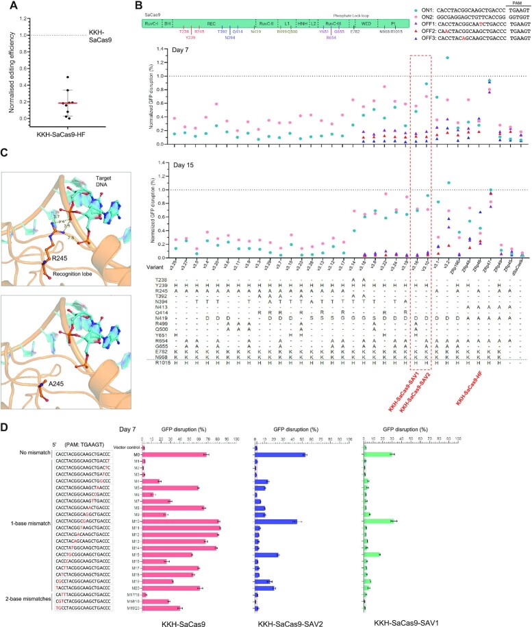 An external file that holds a picture, illustration, etc.
Object name is gkab1291fig1.jpg