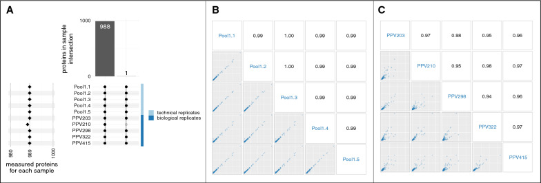 An external file that holds a picture, illustration, etc.
Object name is 12014_2021_9328_Fig4_HTML.jpg