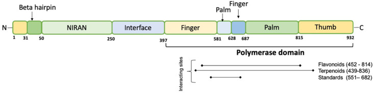 Fig. 10