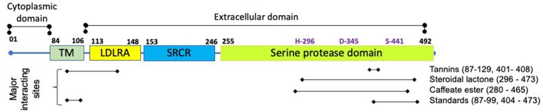 Fig. 7