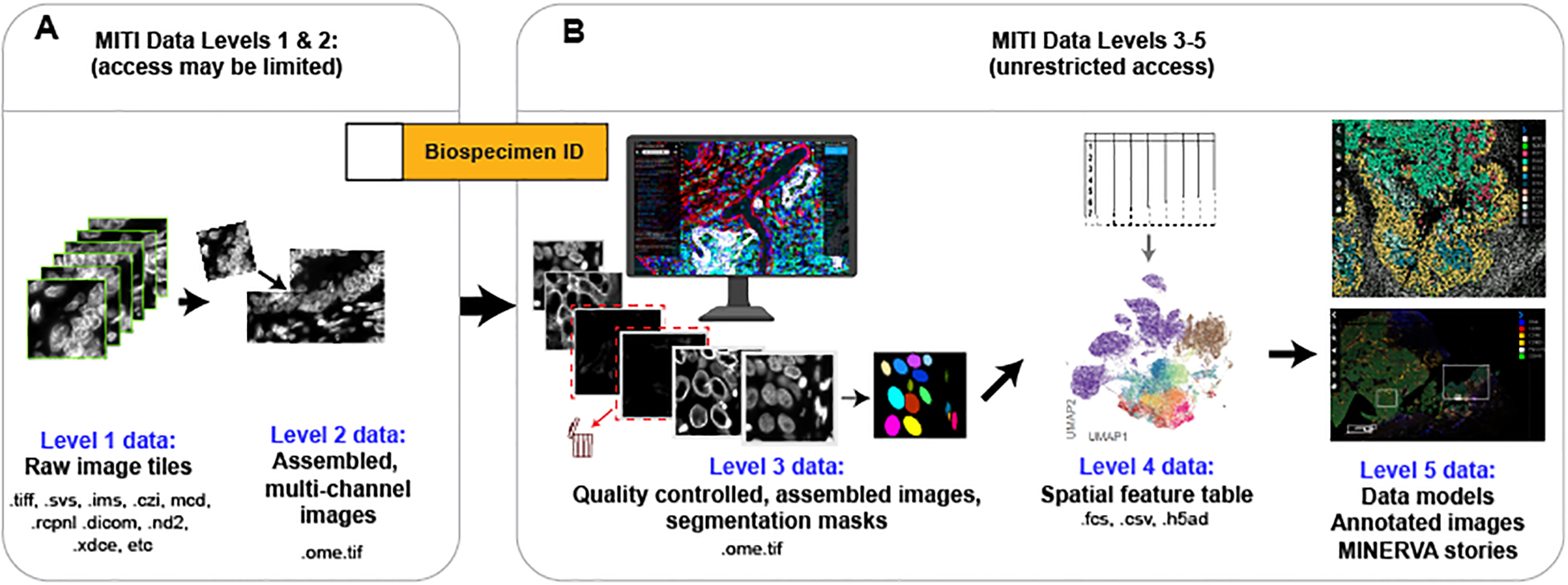 An external file that holds a picture, illustration, etc.
Object name is nihms-1792756-f0002.jpg