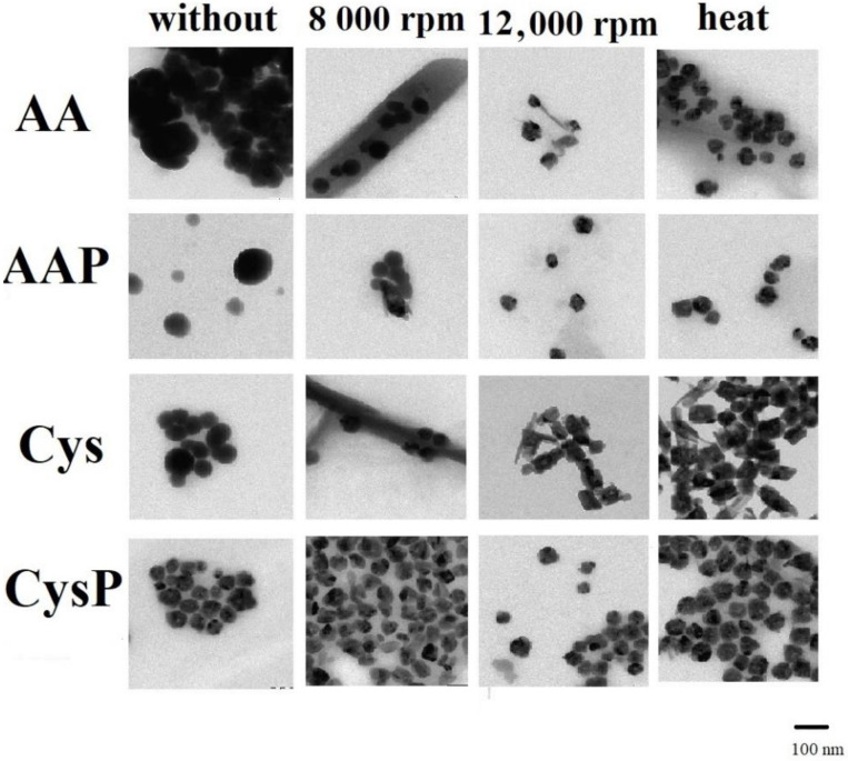 An external file that holds a picture, illustration, etc.
Object name is molecules-27-02486-g007.jpg