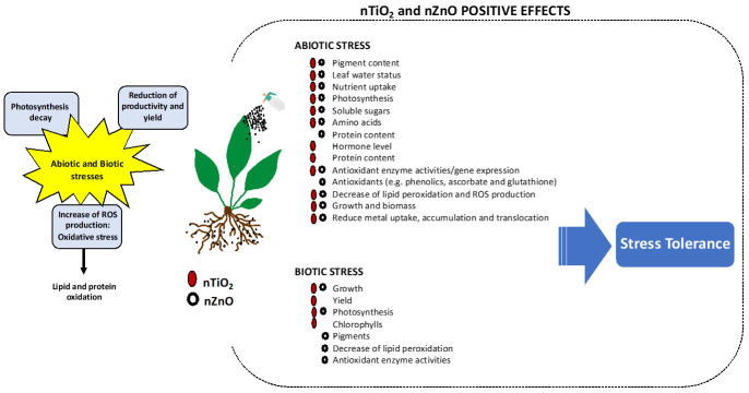 An external file that holds a picture, illustration, etc.
Object name is toxics-10-00172-g001.jpg