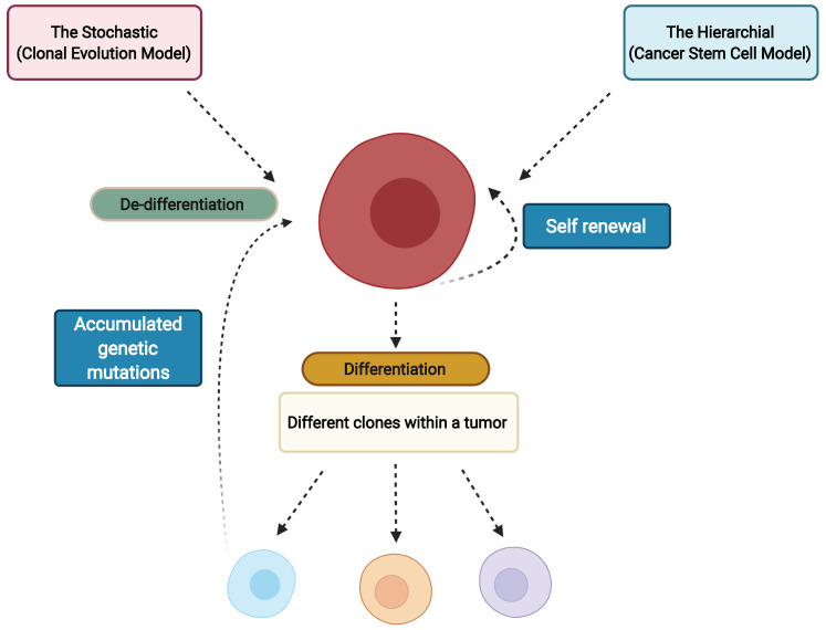 An external file that holds a picture, illustration, etc.
Object name is cells-11-01403-g002.jpg