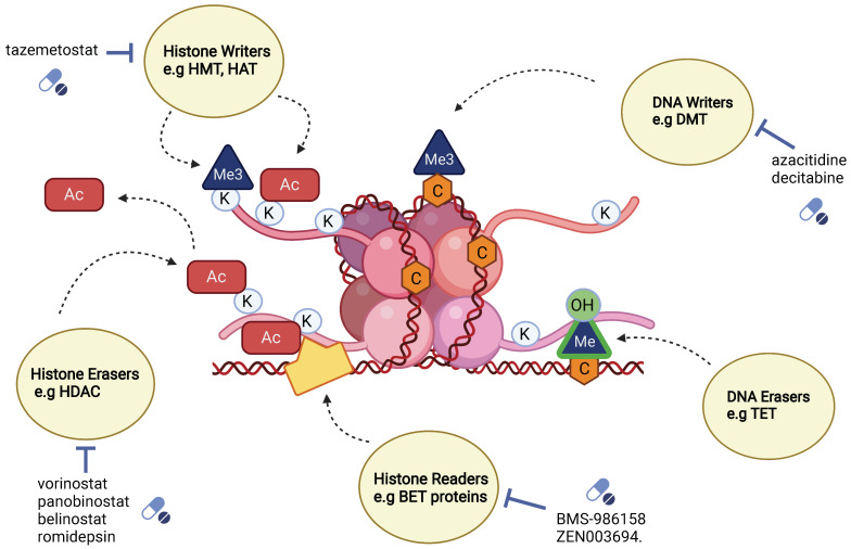 An external file that holds a picture, illustration, etc.
Object name is cells-11-01403-g003.jpg