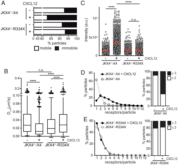 An external file that holds a picture, illustration, etc.
Object name is pnas.2119483119fig02.jpg