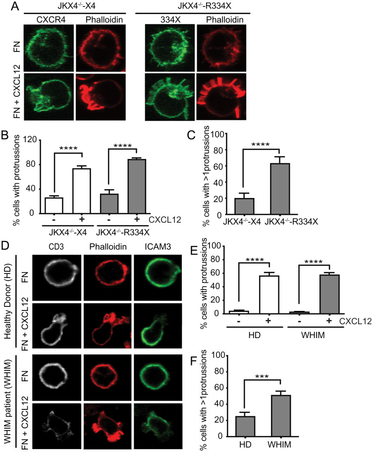 An external file that holds a picture, illustration, etc.
Object name is pnas.2119483119fig05.jpg