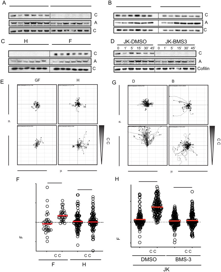 An external file that holds a picture, illustration, etc.
Object name is pnas.2119483119fig06.jpg