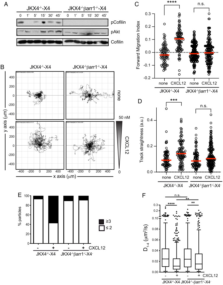 An external file that holds a picture, illustration, etc.
Object name is pnas.2119483119fig07.jpg