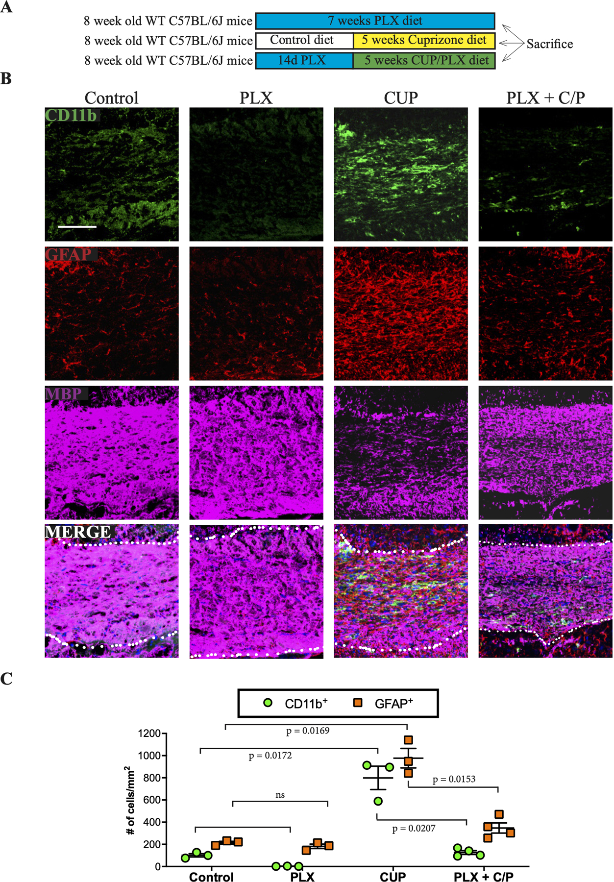 An external file that holds a picture, illustration, etc.
Object name is nihms-1695481-f0007.jpg