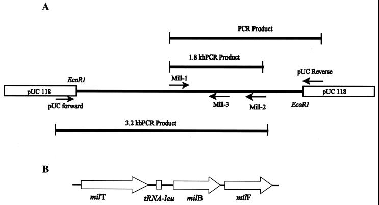 An external file that holds a picture, illustration, etc.
Object name is am0910155004.jpg