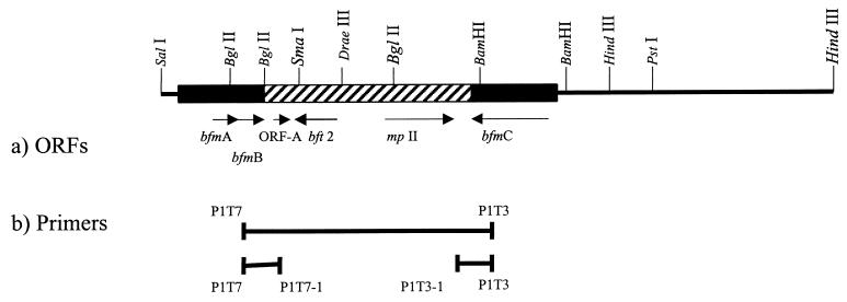 An external file that holds a picture, illustration, etc.
Object name is jb2190230002.jpg