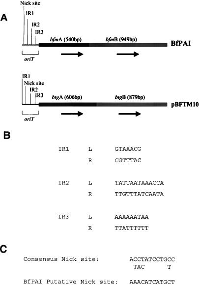 An external file that holds a picture, illustration, etc.
Object name is jb2190230003.jpg