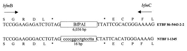 An external file that holds a picture, illustration, etc.
Object name is jb2190230007.jpg