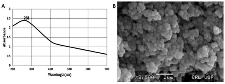 An external file that holds a picture, illustration, etc.
Object name is molecules-27-05194-g001.jpg