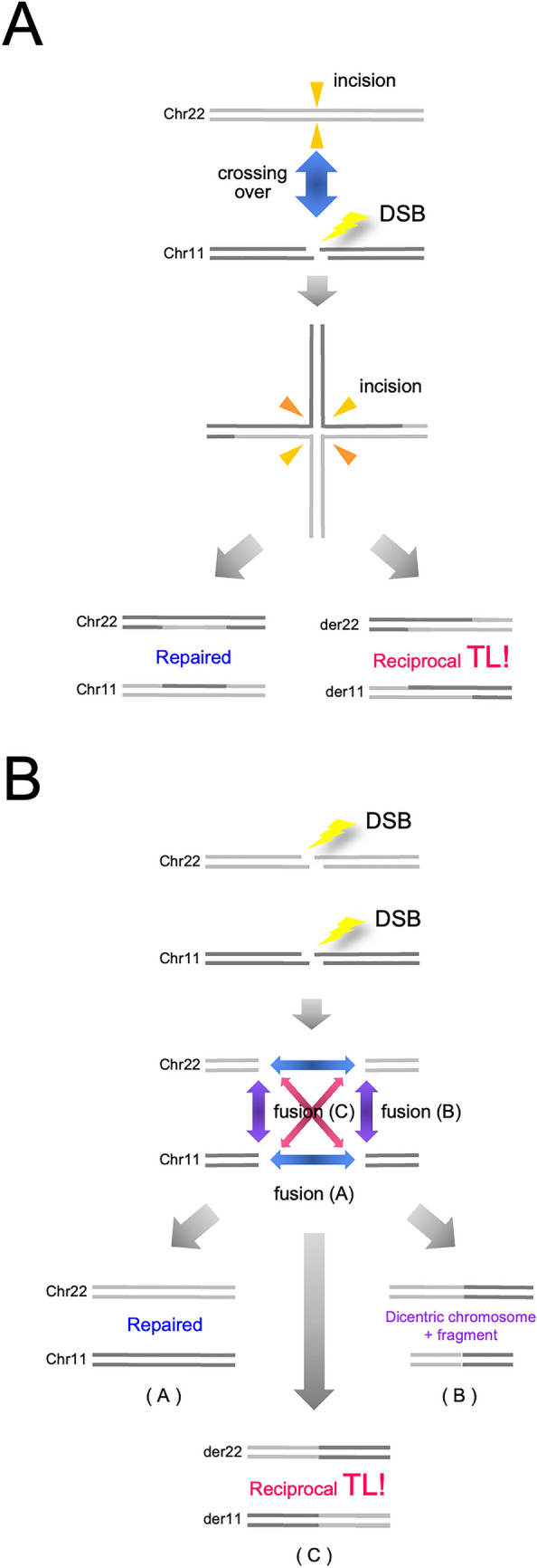 An external file that holds a picture, illustration, etc.
Object name is 41598_2022_19164_Fig6_HTML.jpg