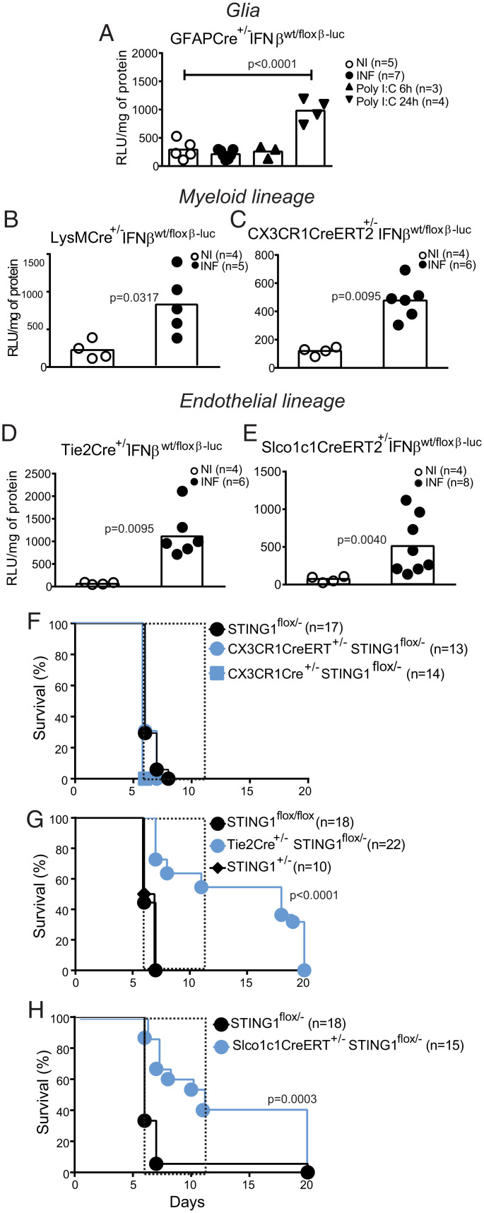 An external file that holds a picture, illustration, etc.
Object name is pnas.2206327119fig03.jpg