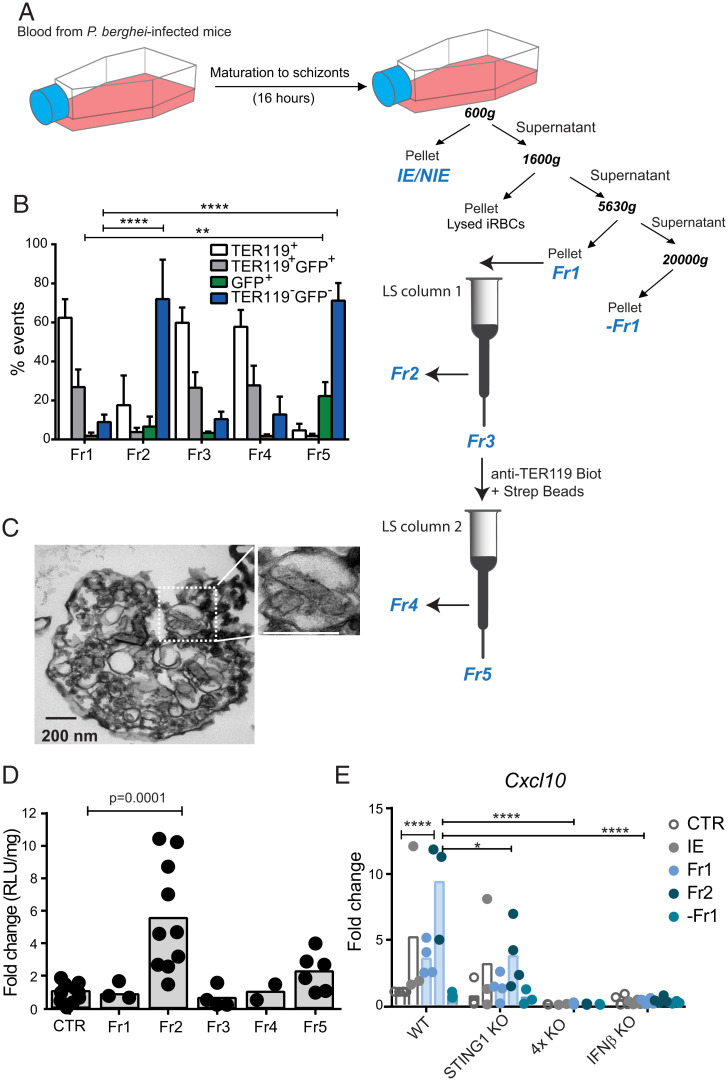 An external file that holds a picture, illustration, etc.
Object name is pnas.2206327119fig05.jpg