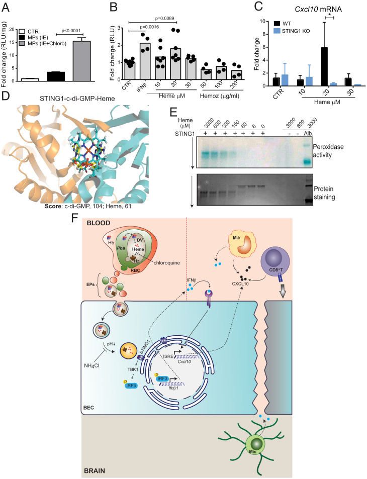 An external file that holds a picture, illustration, etc.
Object name is pnas.2206327119fig06.jpg