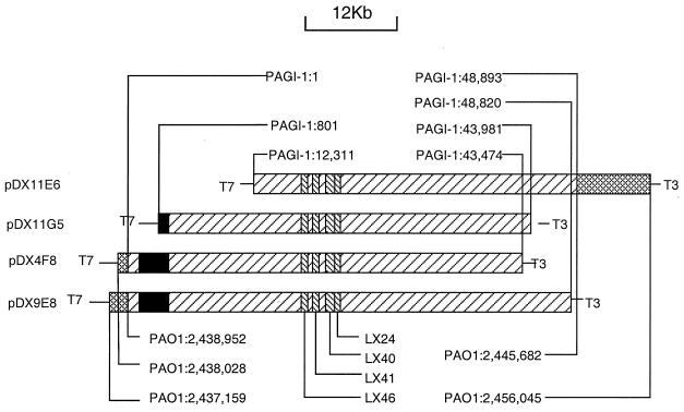 An external file that holds a picture, illustration, etc.
Object name is jb0311097002.jpg