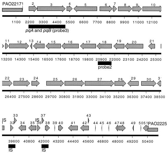 An external file that holds a picture, illustration, etc.
Object name is jb0311097004.jpg