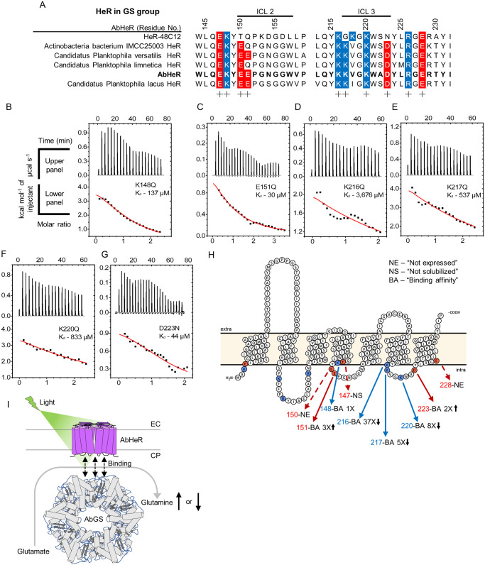 An external file that holds a picture, illustration, etc.
Object name is pbio.3001817.g002.jpg