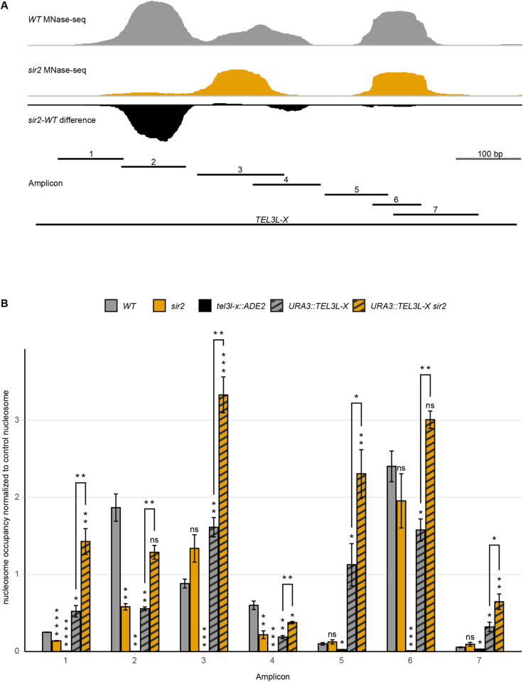 An external file that holds a picture, illustration, etc.
Object name is pgen.1010419.g005.jpg