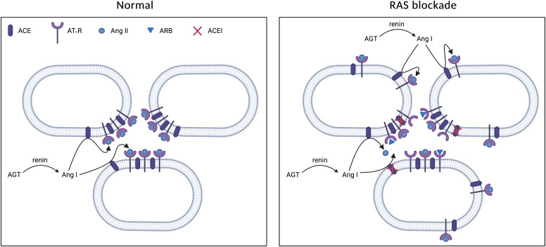 An external file that holds a picture, illustration, etc.
Object name is pharmrev.120.000236f11.jpg