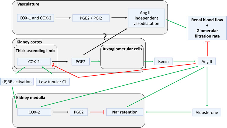 An external file that holds a picture, illustration, etc.
Object name is pharmrev.120.000236f13.jpg