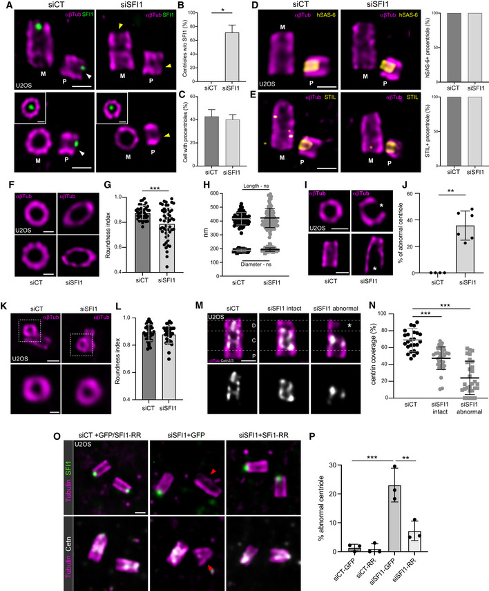 An external file that holds a picture, illustration, etc.
Object name is EMBJ-41-e112107-g005.jpg