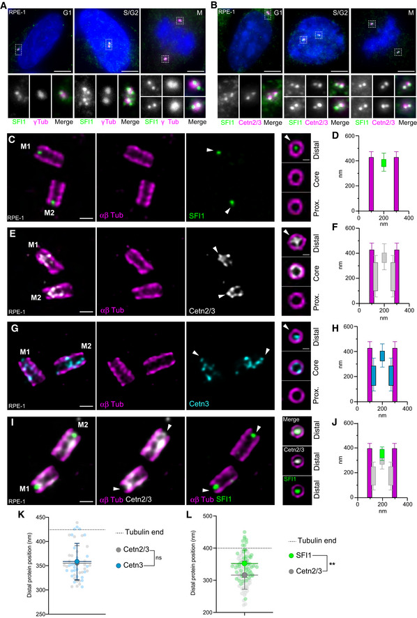 An external file that holds a picture, illustration, etc.
Object name is EMBJ-41-e112107-g009.jpg