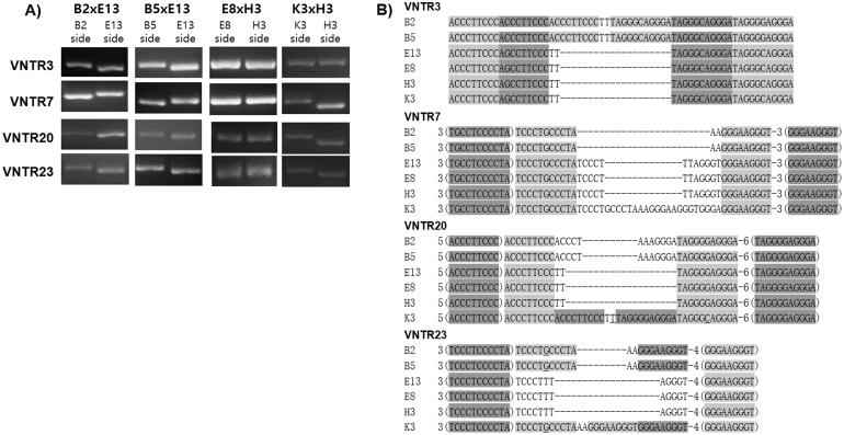 An external file that holds a picture, illustration, etc.
Object name is TMYB_A_2138226_F0002_B.jpg