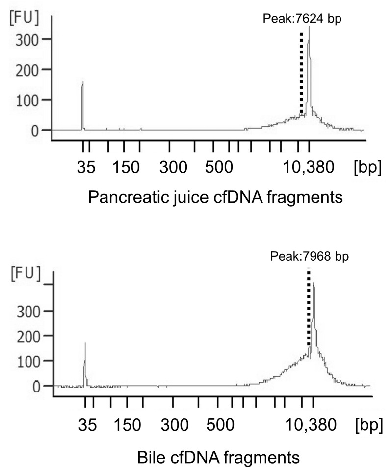 An external file that holds a picture, illustration, etc.
Object name is diagnostics-12-02704-g001.jpg