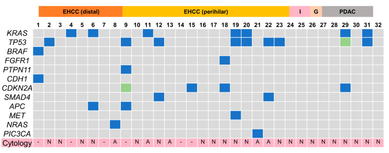 An external file that holds a picture, illustration, etc.
Object name is diagnostics-12-02704-g004.jpg