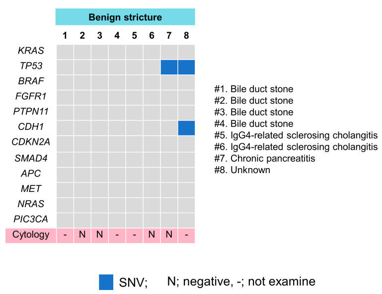 An external file that holds a picture, illustration, etc.
Object name is diagnostics-12-02704-g005.jpg