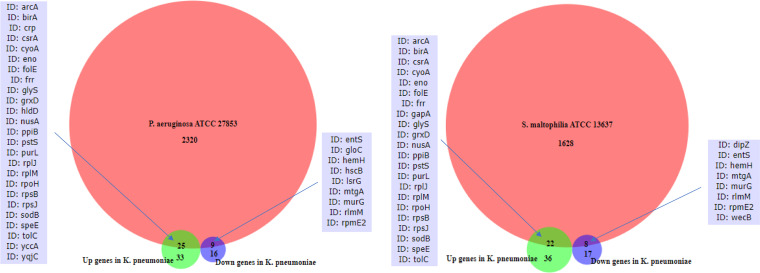 An external file that holds a picture, illustration, etc.
Object name is msphere.00377-22-f001.jpg