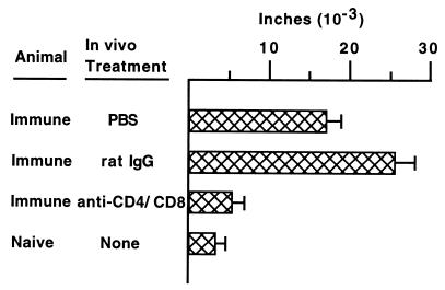 An external file that holds a picture, illustration, etc.
Object name is ii0411600003.jpg