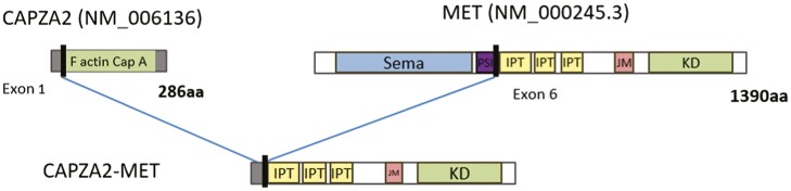 An external file that holds a picture, illustration, etc.
Object name is oyac194f0001.jpg