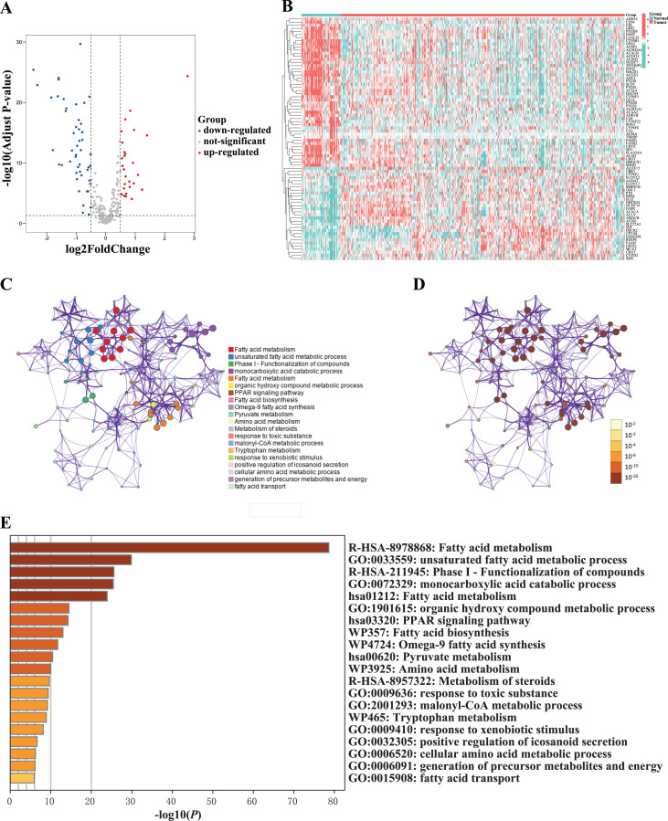 An external file that holds a picture, illustration, etc.
Object name is peerj-11-14854-g001.jpg