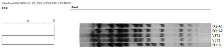 An external file that holds a picture, illustration, etc.
Object name is antibiotics-12-00408-g002.jpg